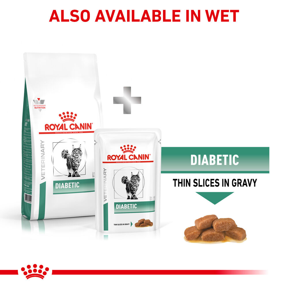 Rc diabetic sale cat food