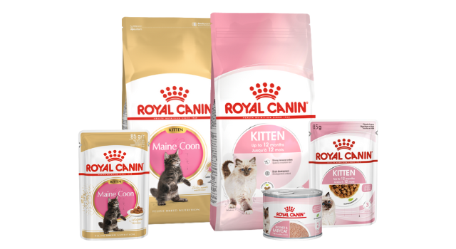 Royal Canin alimento para gatitos