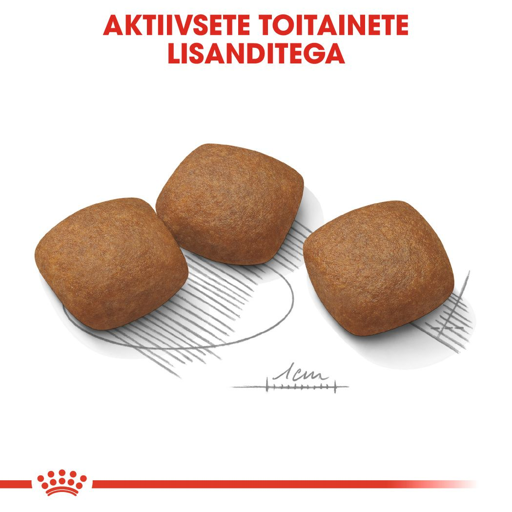 Royal Canin Maxi Joint Care kuivtoit