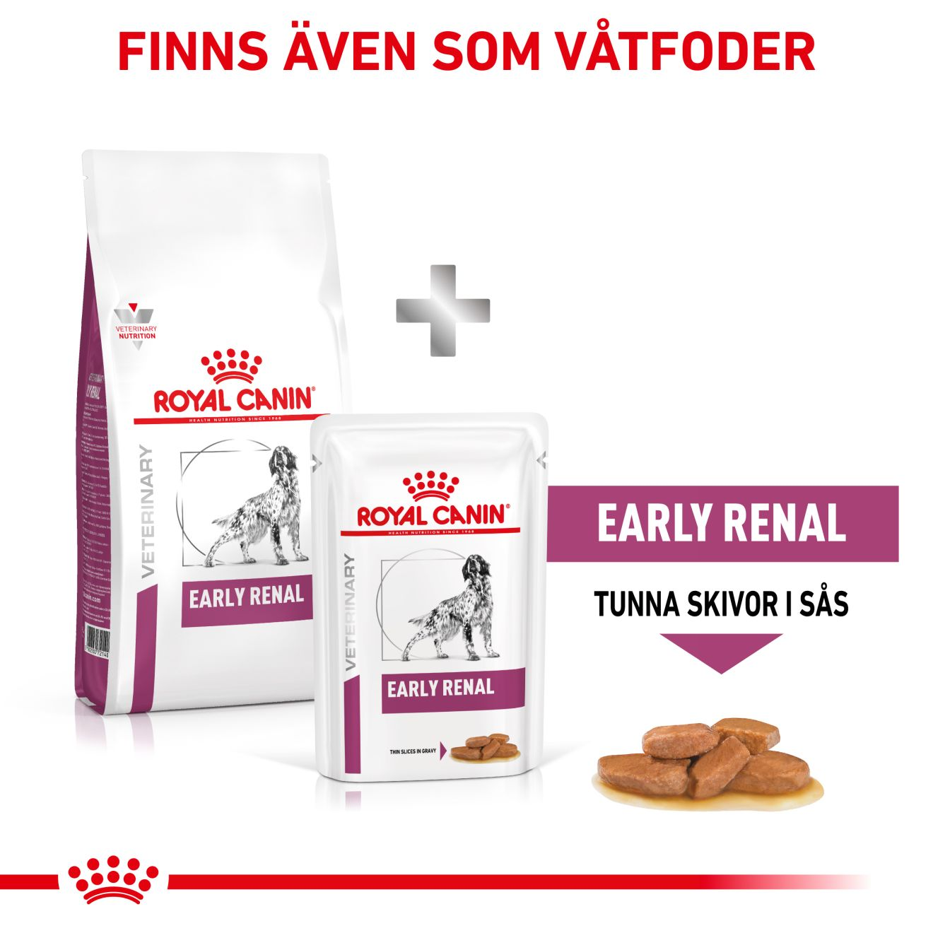 Vital Early Renal