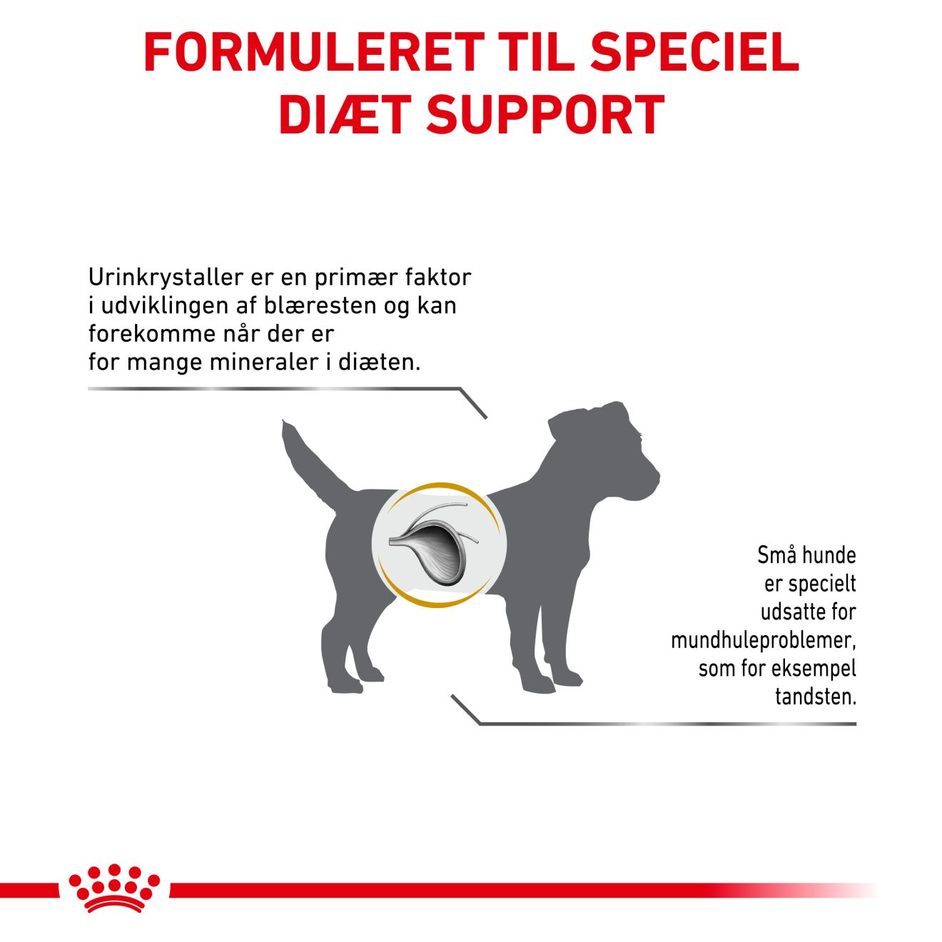 Baby kor nominelt Urinary S/O Small Dog | Royal Canin Denmark