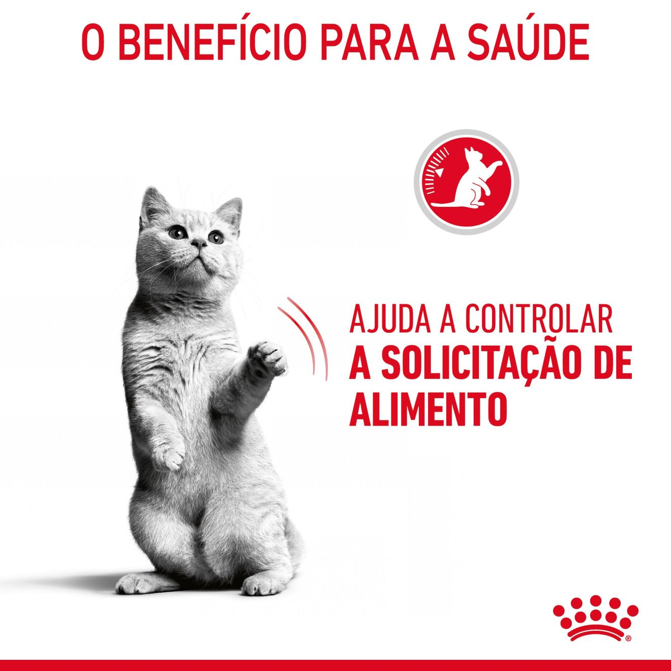 APPETITE CONTROL CARE