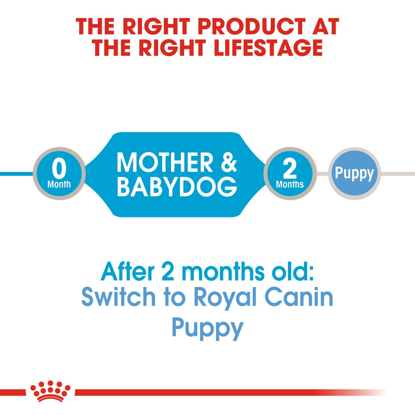 Royal Canin Size Health Nutrition Starter Mother & Babydog Mousse in Sauce  Wet Dog Food (CA), 5.82-oz (**)