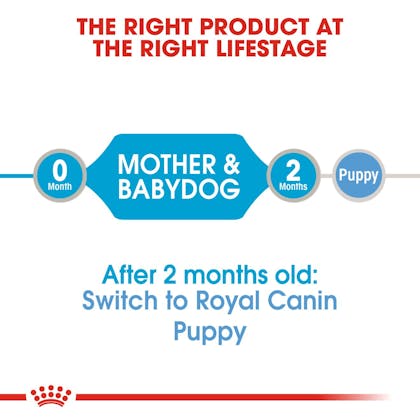 Royal canin puppy 2024 mousse feeding guide