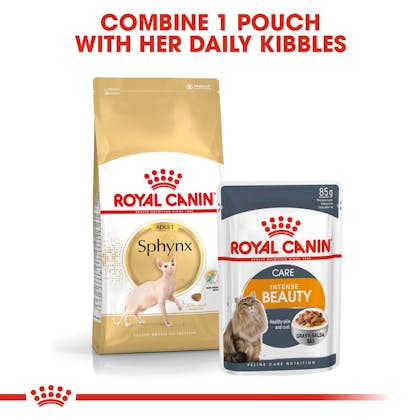 Sphynx Adult dry Royal Canin