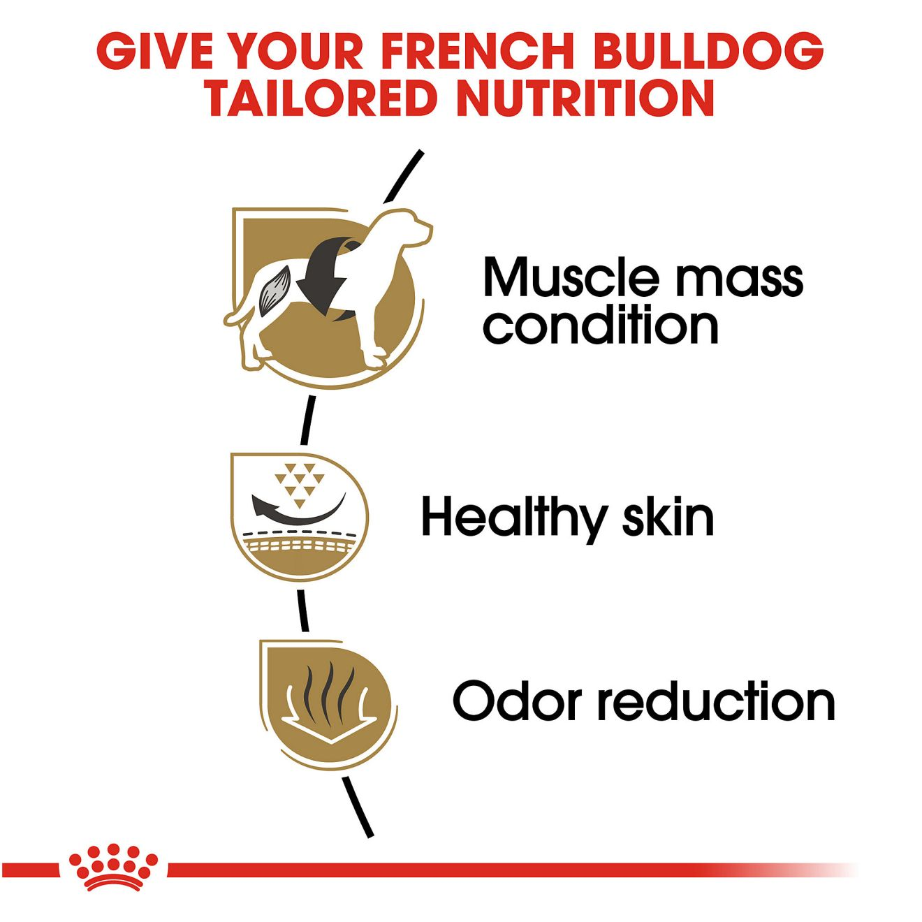 Royal canin french hot sale bulldog 17 lb