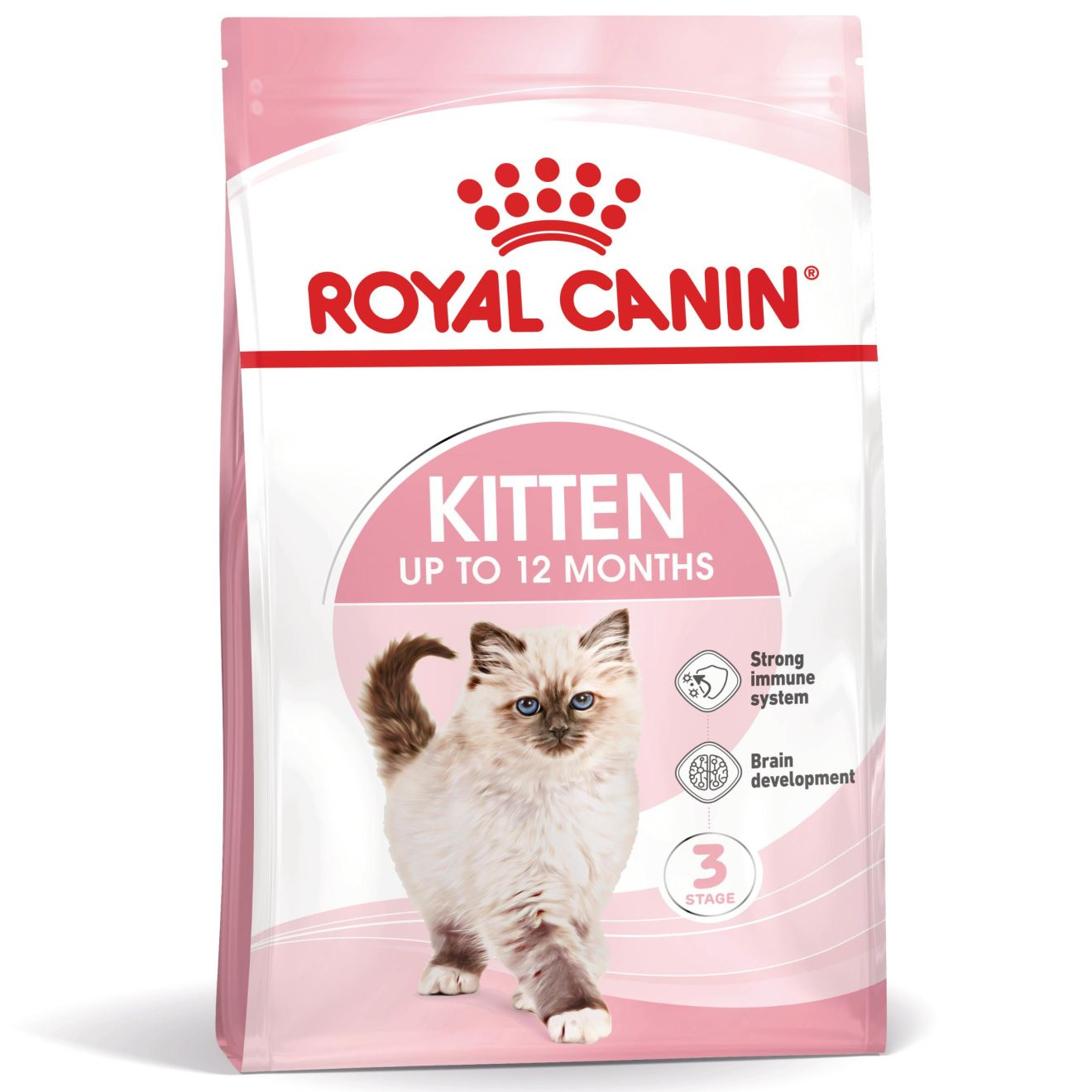 KITTEN
