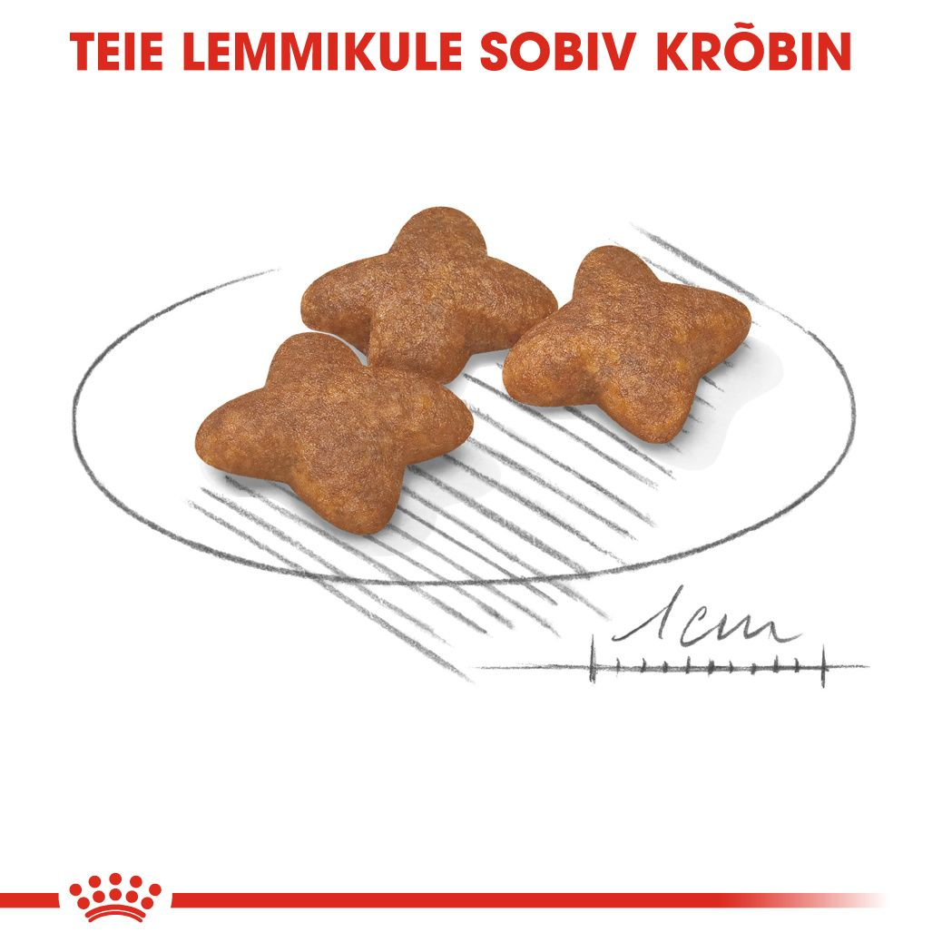 Royal Canin Mini Adult kuivtoit