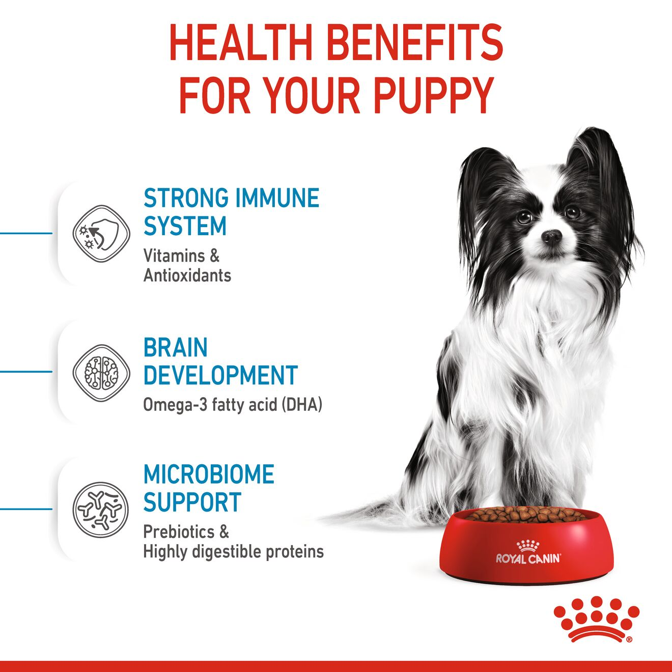 Royal Canin® Size Health Nutrition™ X-Small Puppy Dry Dog Food