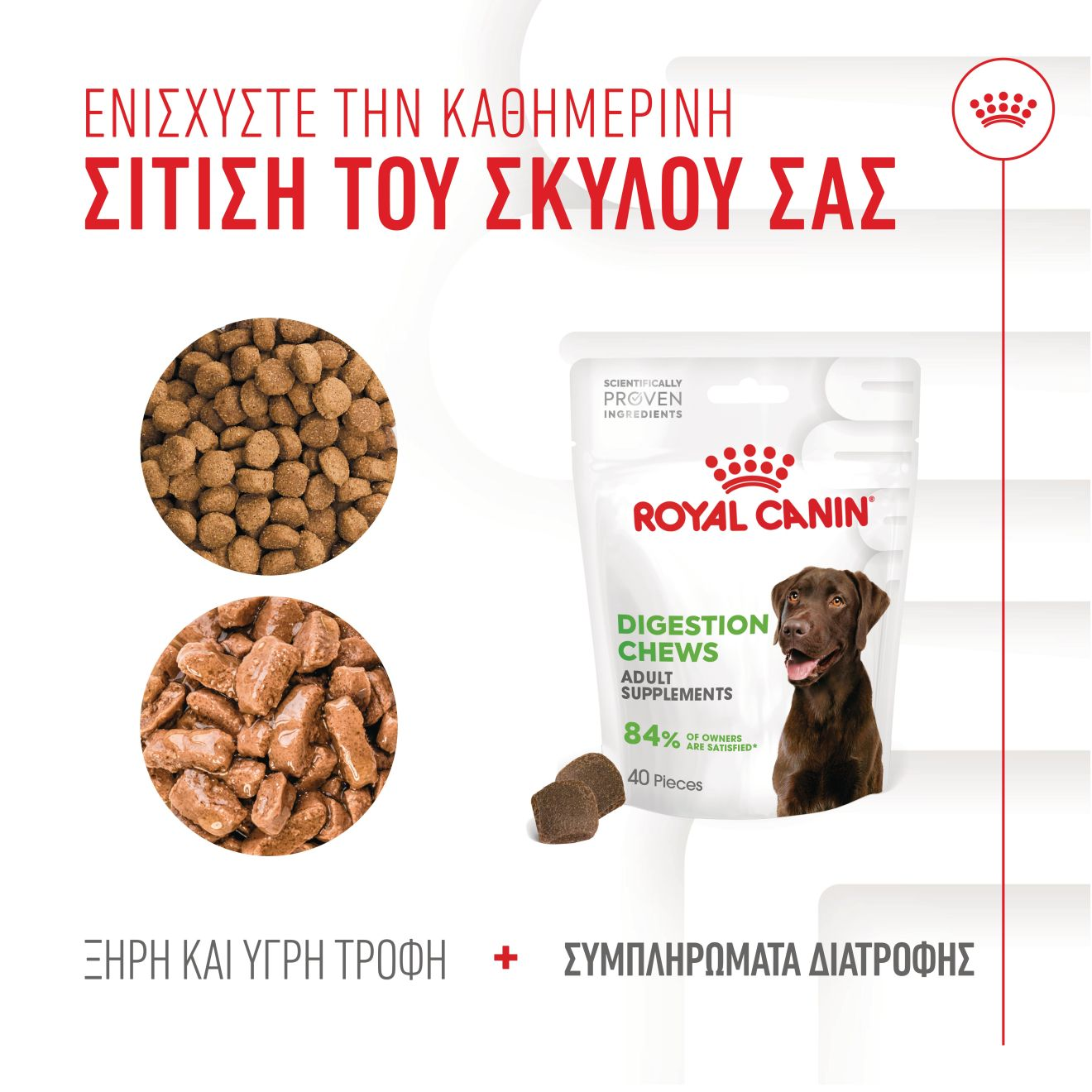 DIGESTION CHEWS