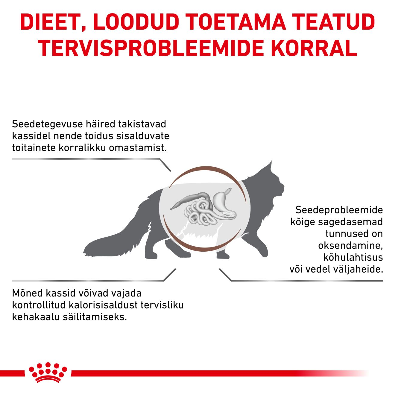 Royal Canin Gastrointestinal Moderate Calorie Cat kuivtoit