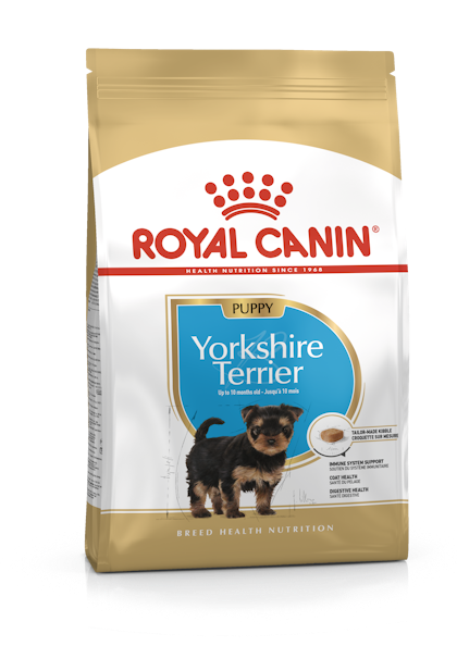 Chiot Yorkshire Terrier Aliment Sec Royal Canin