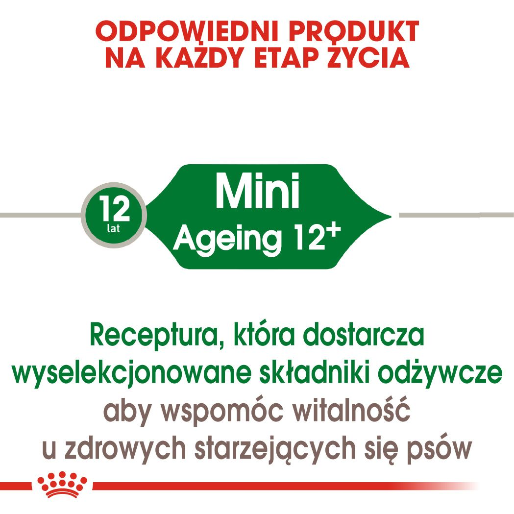 Mini Ageing 12+