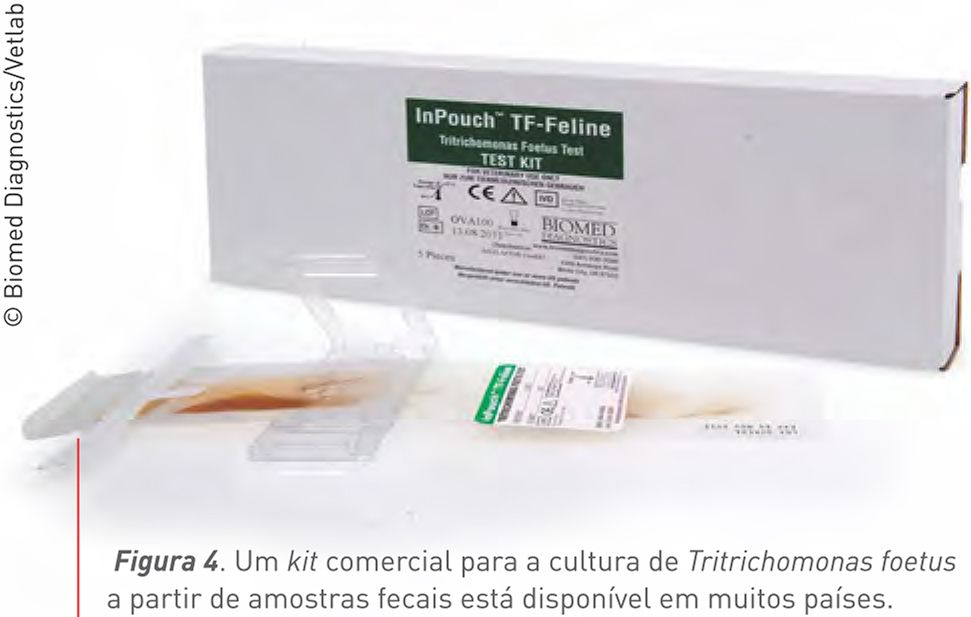 Um kit comercial para a cultura de Tritrichomonas foetus a partir de amostras fecais está disponível em muitos países.