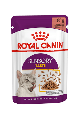 Sensory Taste Adult Cat (Gravy)