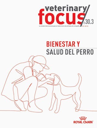 Bienestar y Salud del Perro