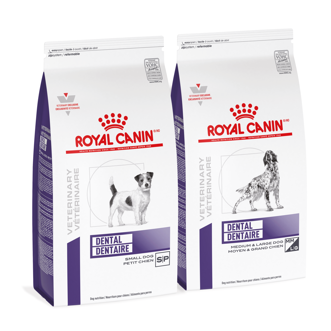 Dental dog shop food royal canin