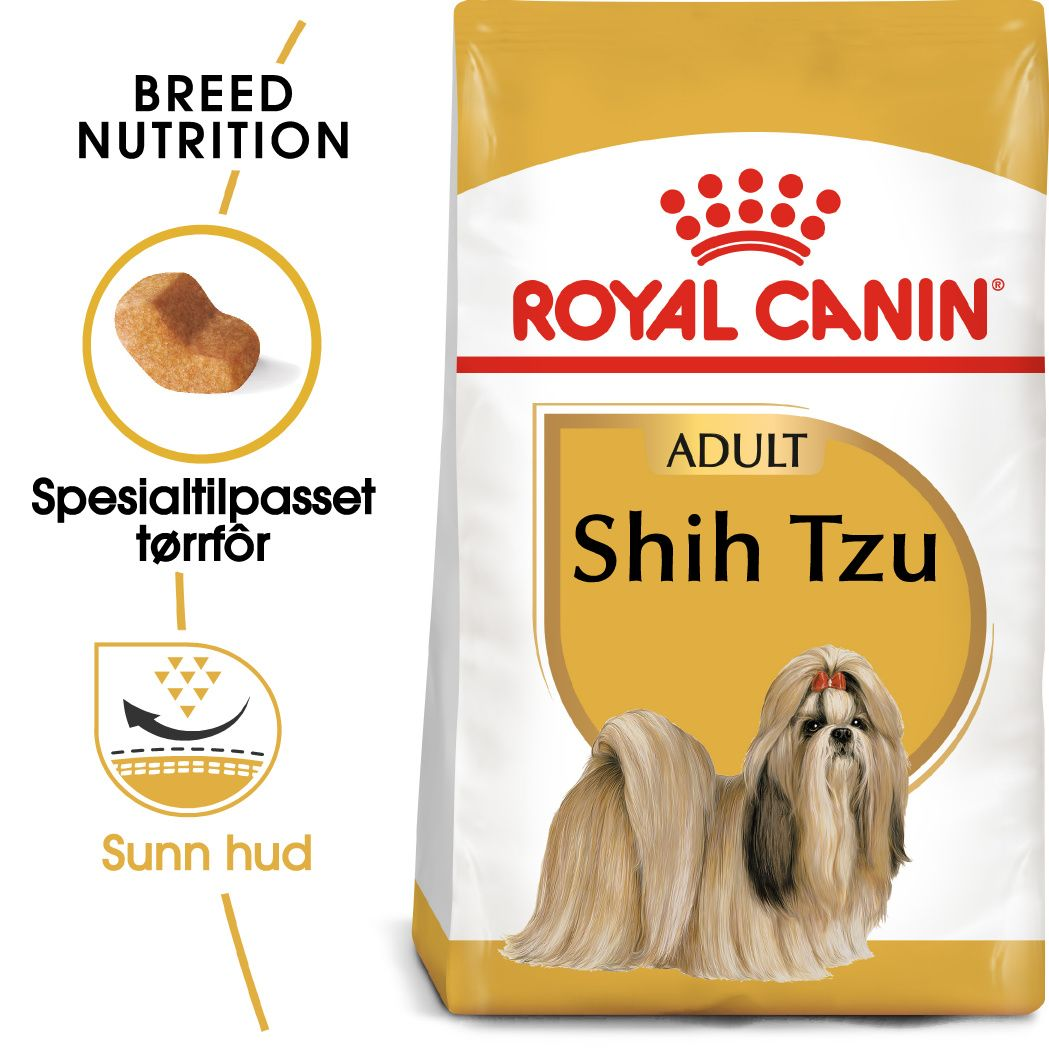 Shih Tzu Adult