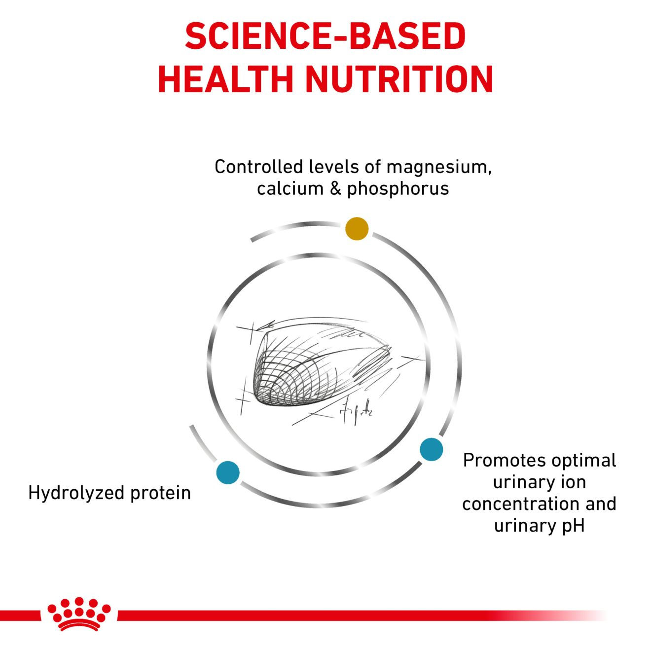 Feline Urinary SO Hydrolyzed Protein Royal Canin US