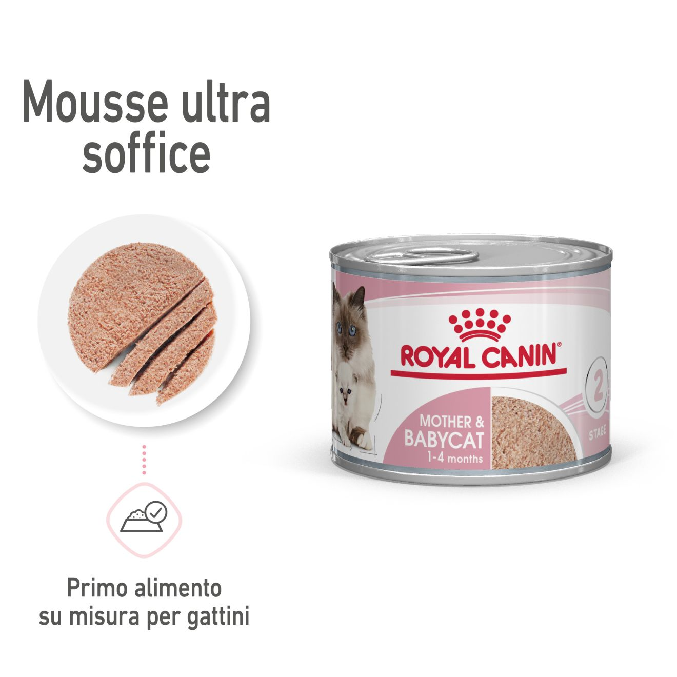 Mother & Babycat in mousse