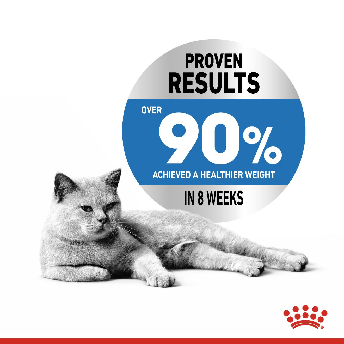 Royal canin best sale weight cat