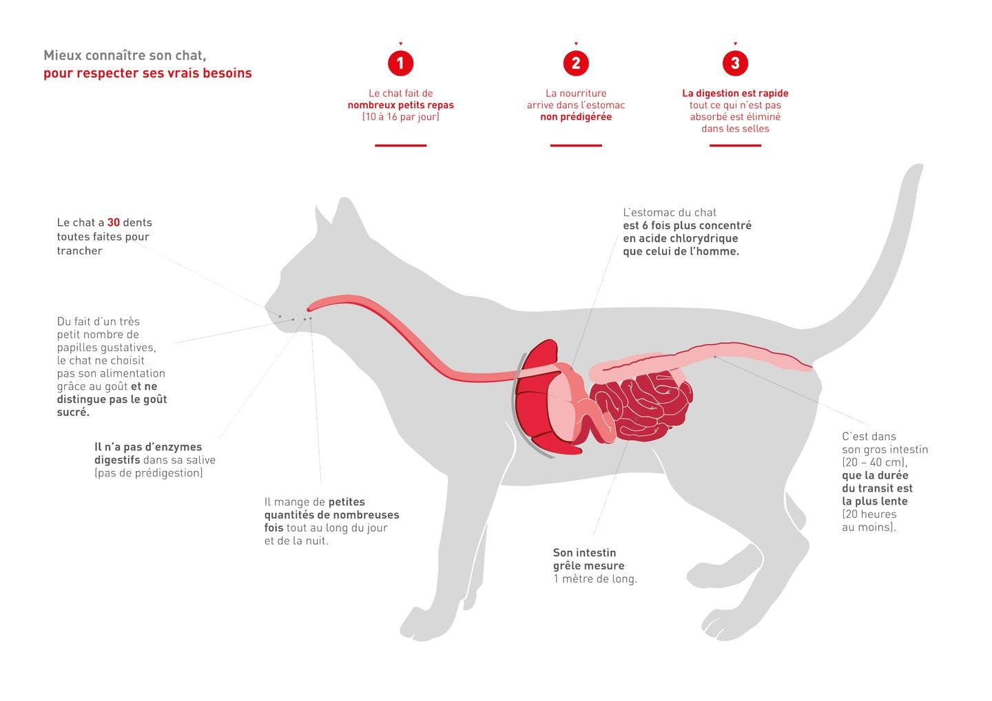 Content Block With Text And Image 4