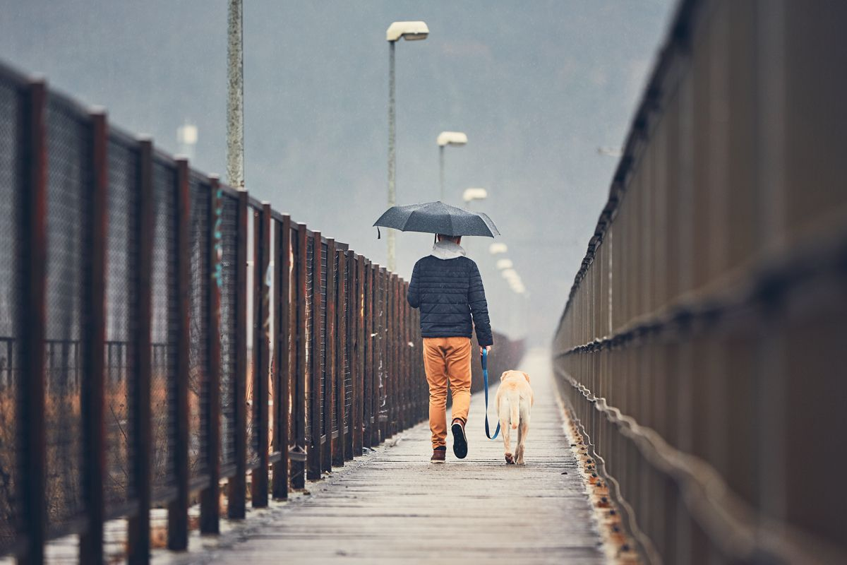Les propriétaires de chiens sont en général plus motivés pour sortir, et moins facilement découragés par le mauvais temps, que les personnes qui ne possèdent pas de chien. 