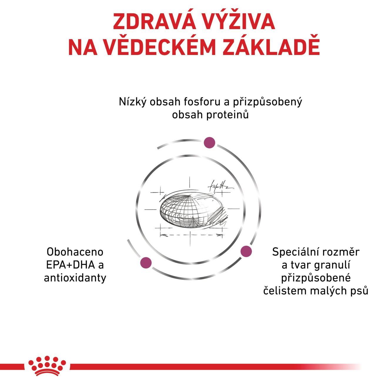 VHN Dog Renal Small Dog