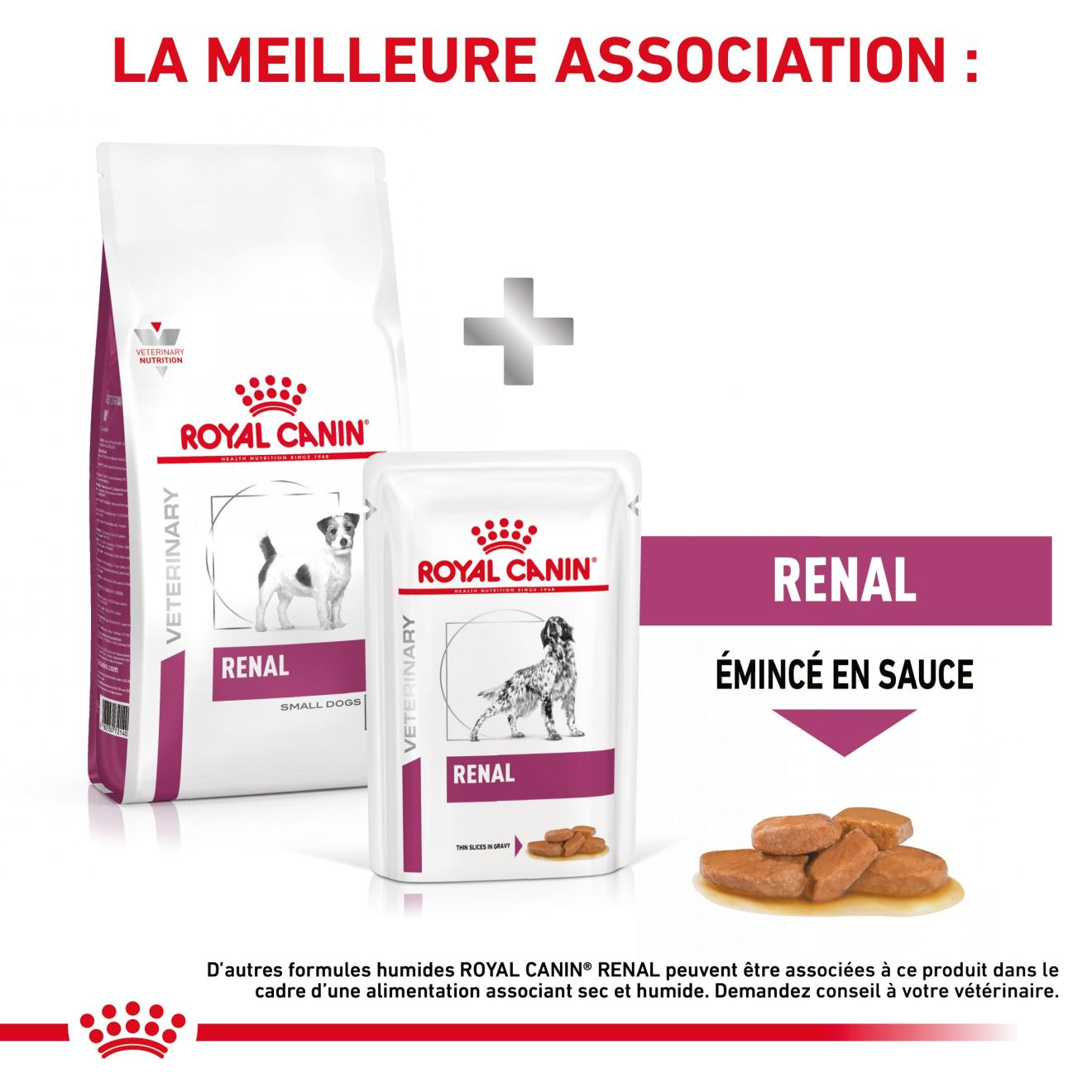 Renal Small Dogs