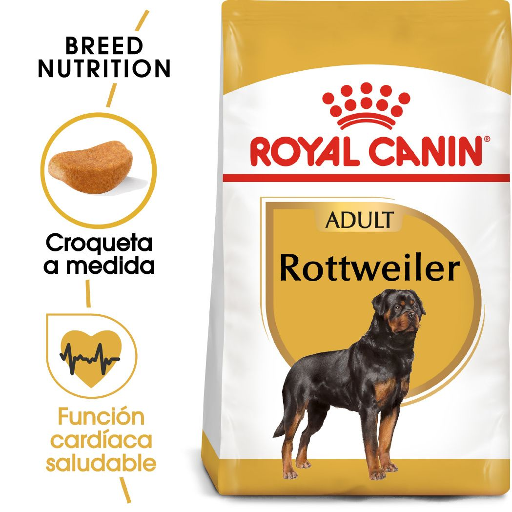 Rottweiler Adult