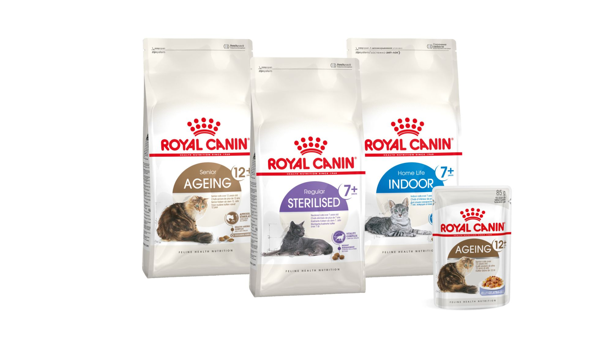 Royal canin 2024 senior gato