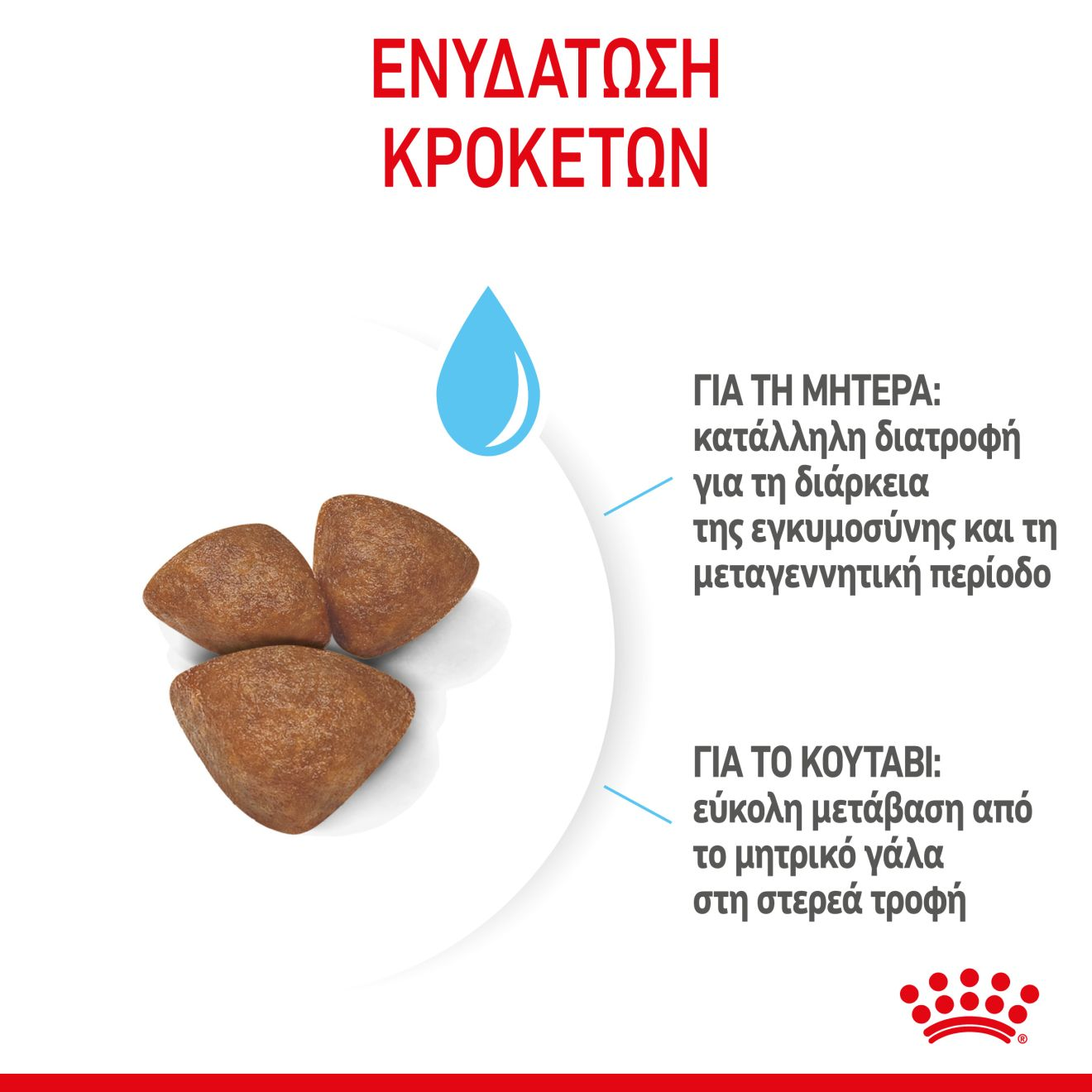 STARTER Mother & Babydog - MINI