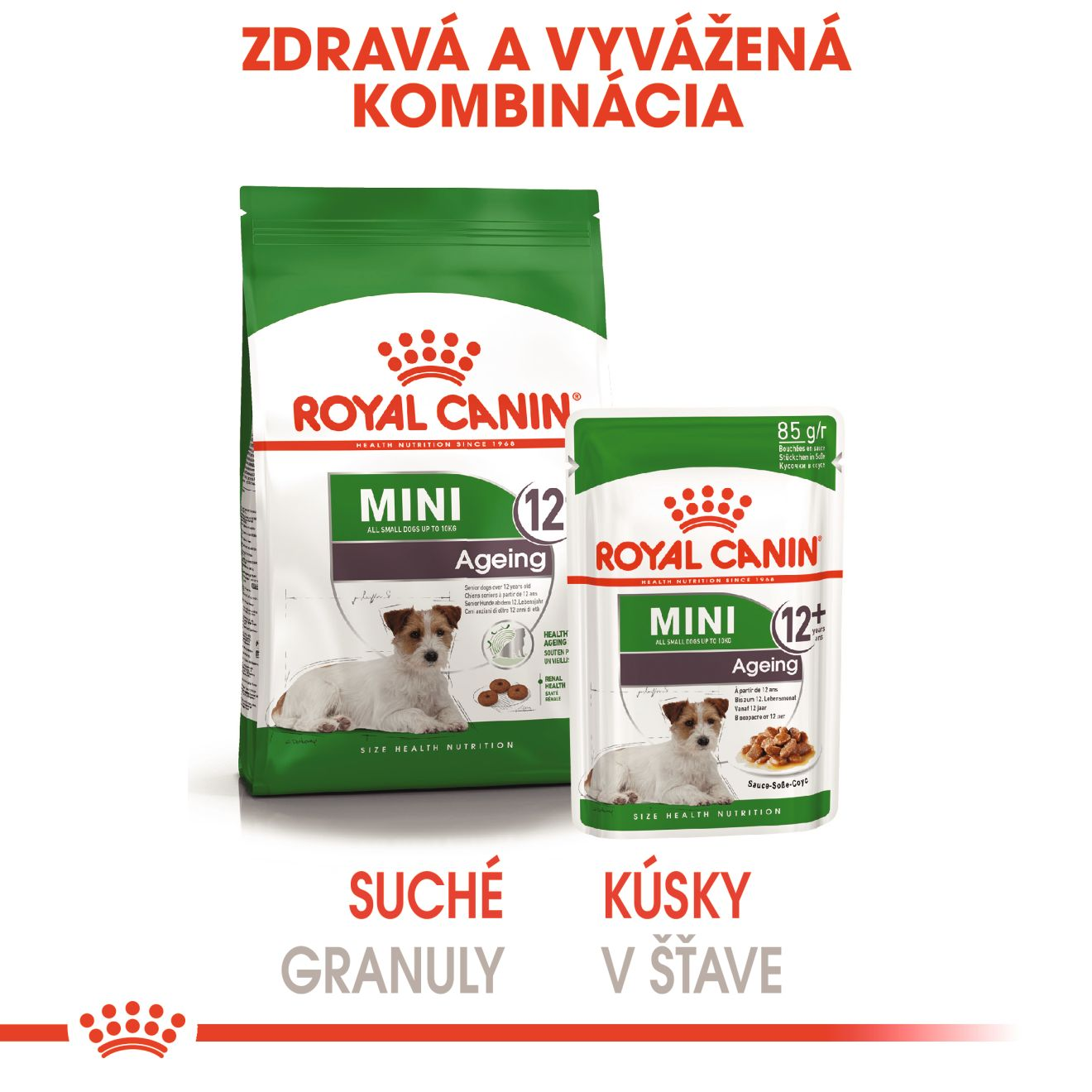 ROYAL CANIN Mini Ageing kapsička v šťave pre staršie psy malých plemien nad 12 rokov