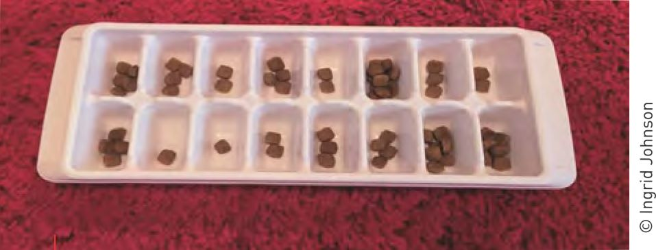 Figura 2. Uma bandeja de cubos de gelo pode ser usada como um brinquedo “fixo” muito simples para iniciantes. © Ingrid Johnson