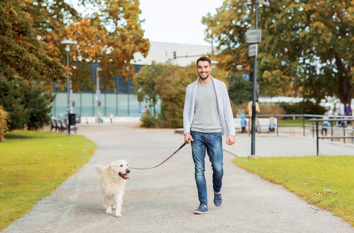 Local access to suitable places to walk encourages dog walking and emphasizes the importance in providing areas where people can be physically active. 