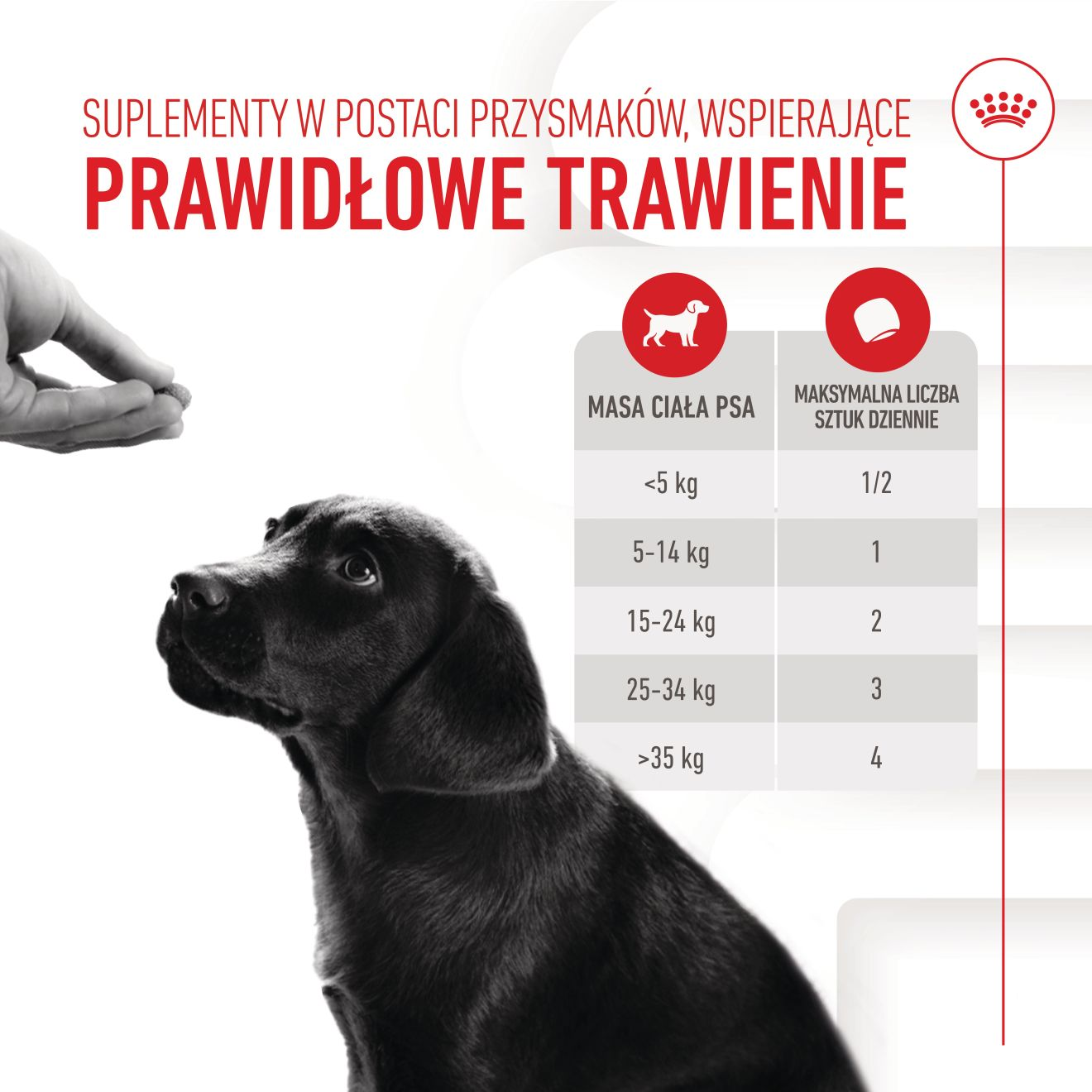 Supplements Dog Immunity & Digestion Puppy