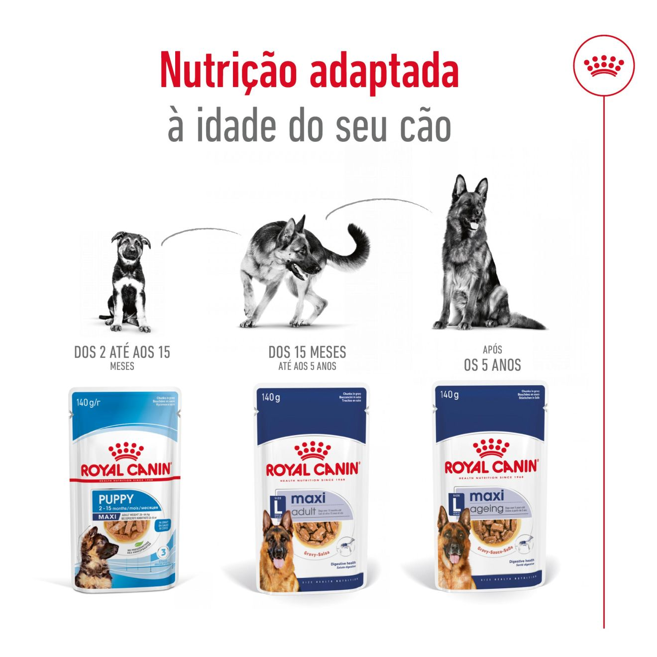 Maxi Adult