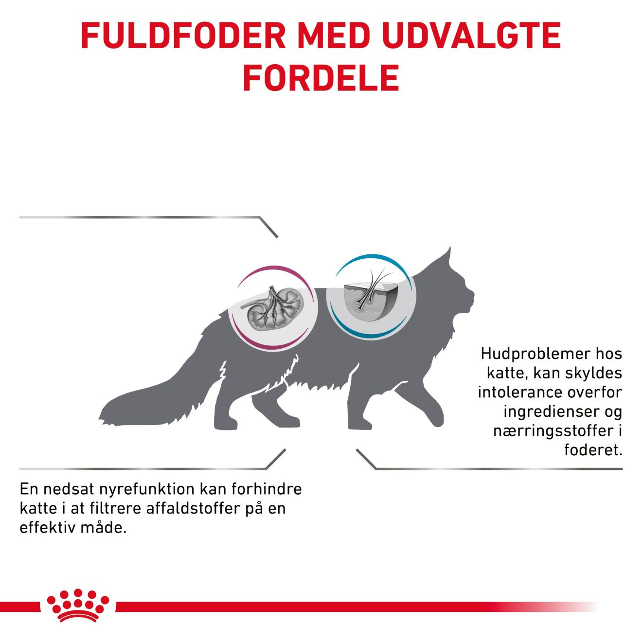 Derma Hypoallergenic