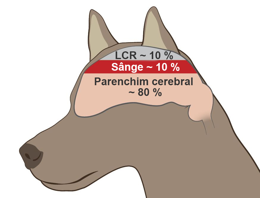 Doctrina Monro-Kellie; craniul este un spațiu fix compus din parenchimul cerebral, sânge și lichid cefalorahidian,
