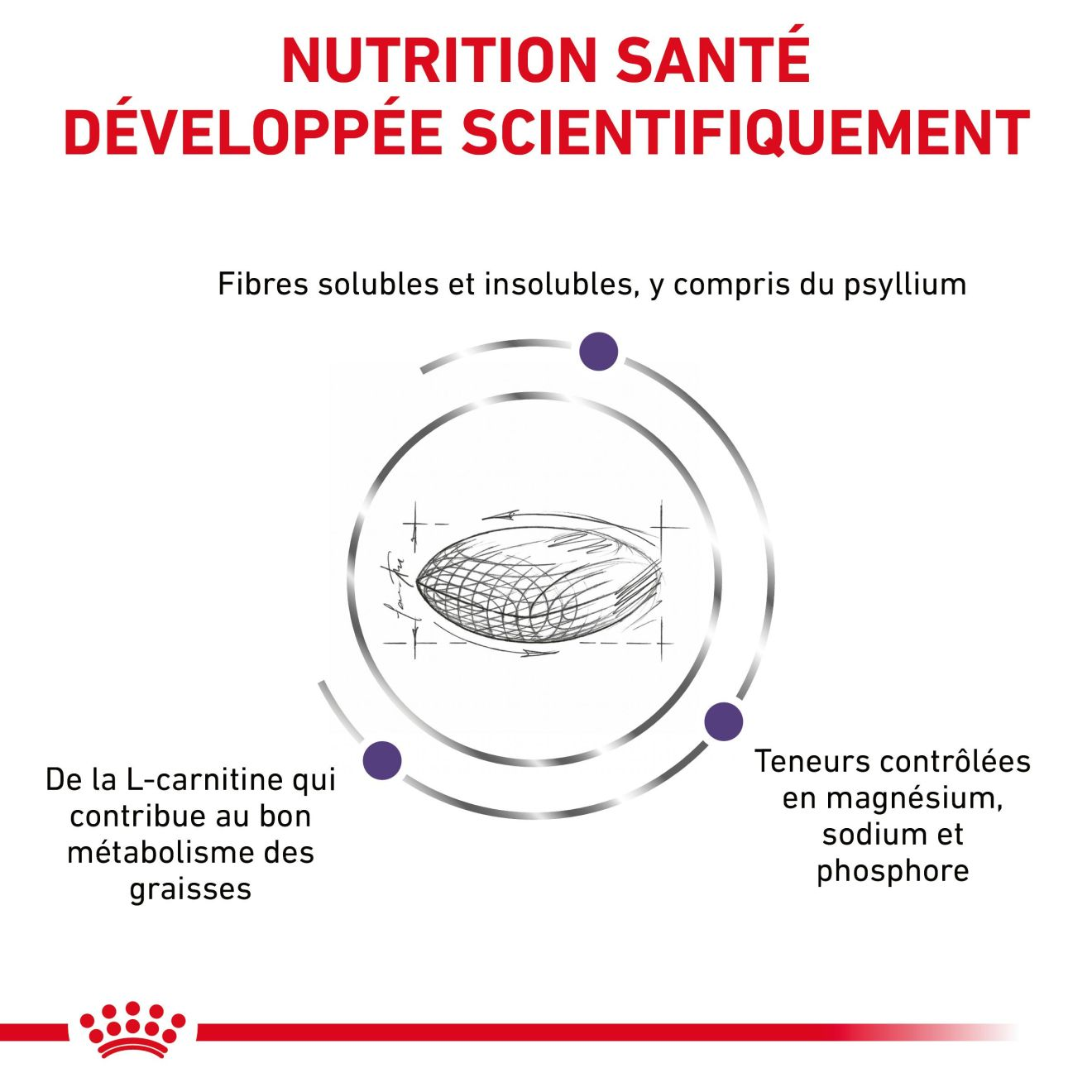Neutered Satiety Balance