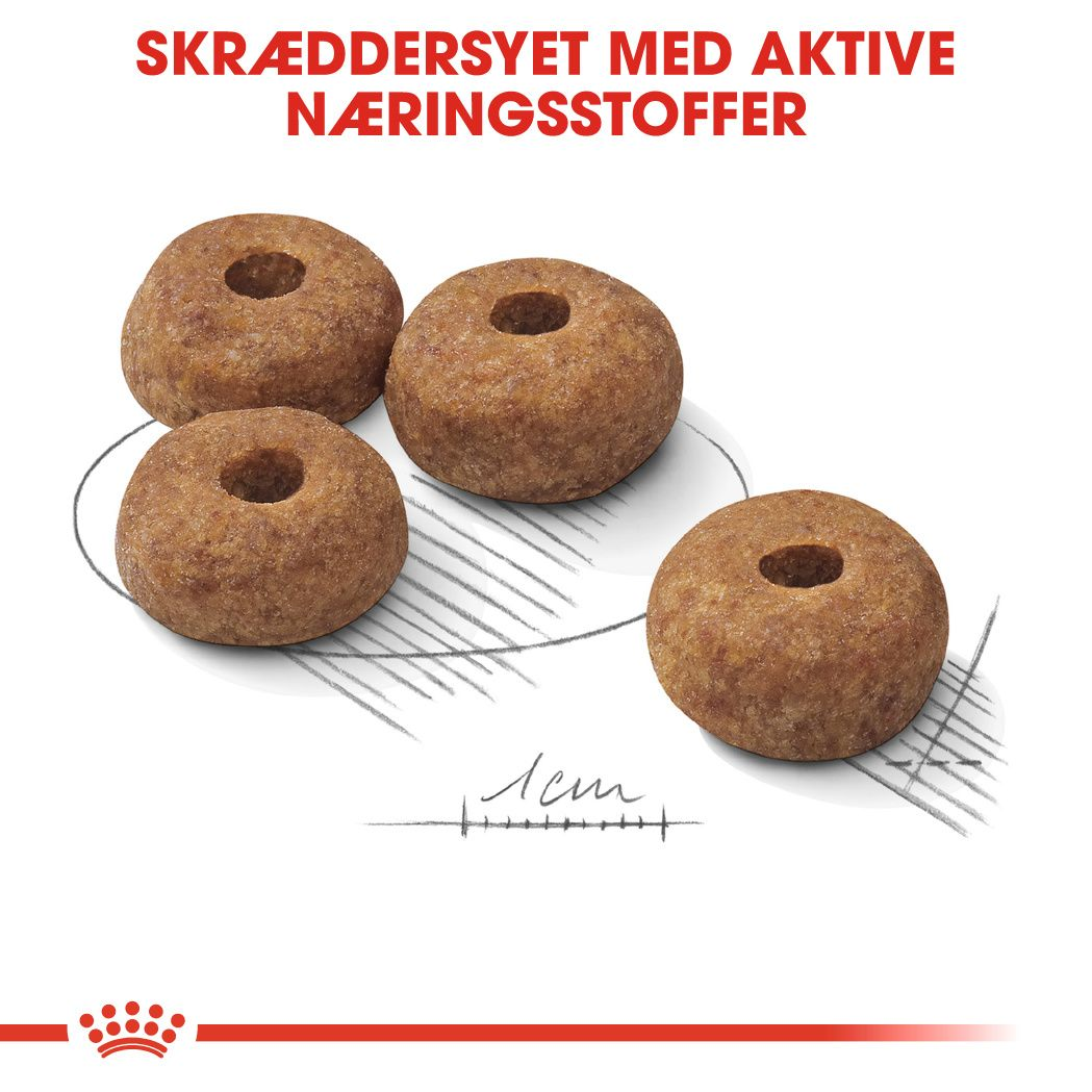 Medium Sterilised Adult