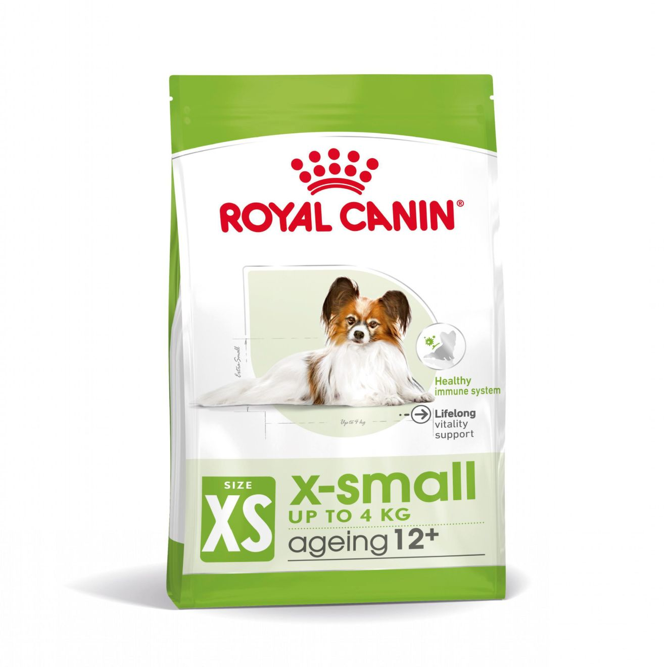 X-Small Ageing 12+