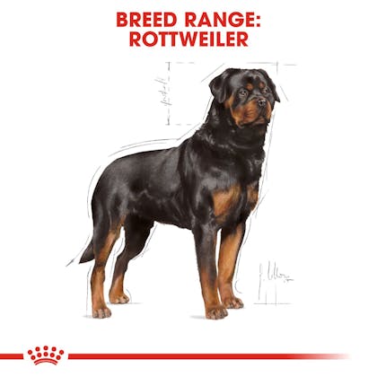 BHN-Rottweiler-CV-Eretailkit-1