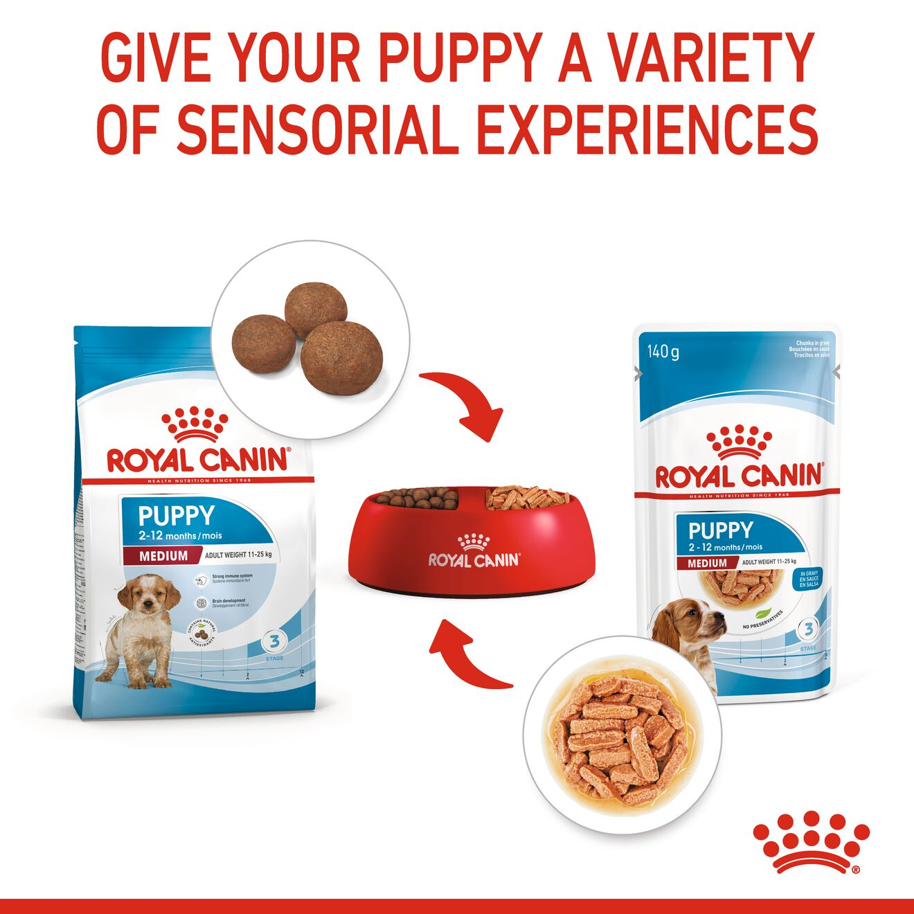 Royal canin puppy shop food serving size