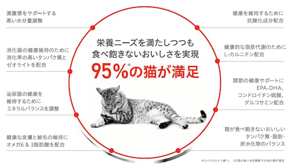 406-japan-local-ca-fhn-wet-detail