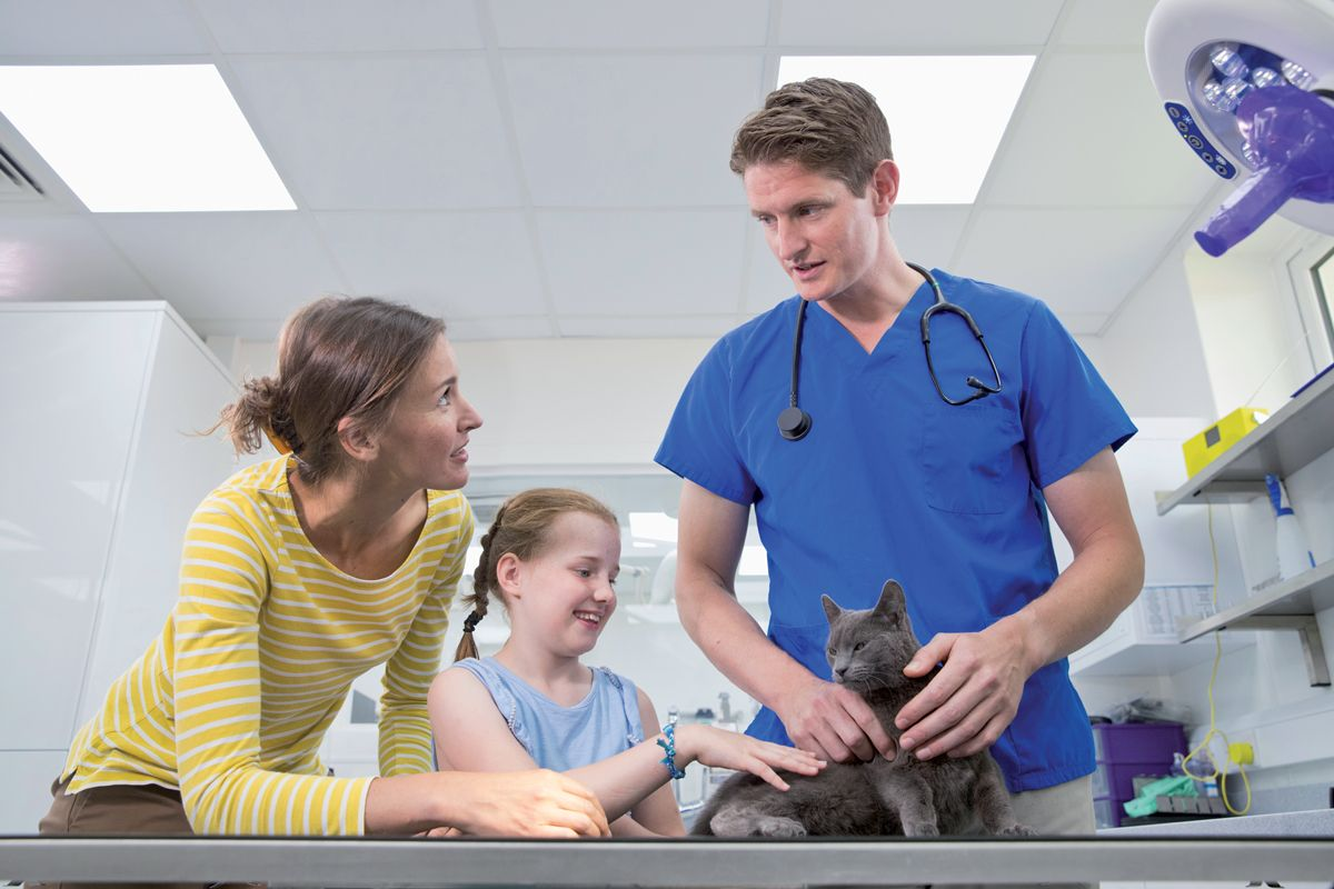 Abbildung 2. Der Tierarzt spielt eine wichtige Rolle, wenn es darum geht, Eltern, Familienmitgliedern und Freunden klare Anweisungen zu geben, wie Kinder sicher mit Tieren interagieren können. © Shutterstock