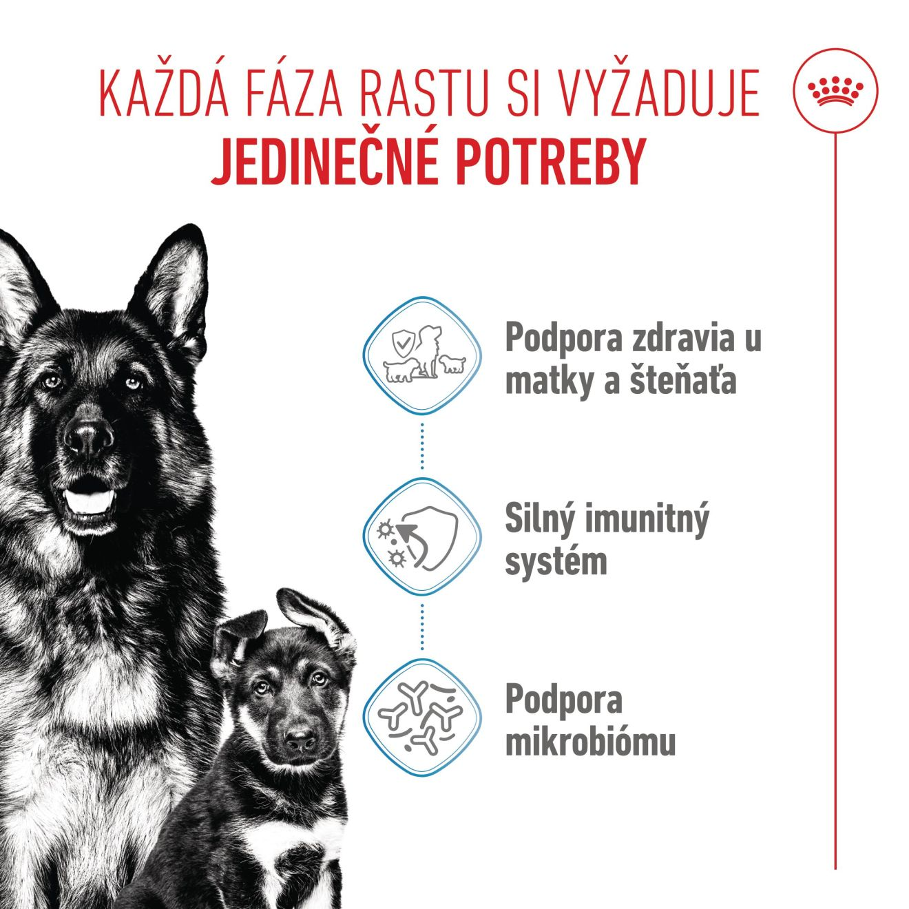 MAXI STARTER Mother & Babydog 