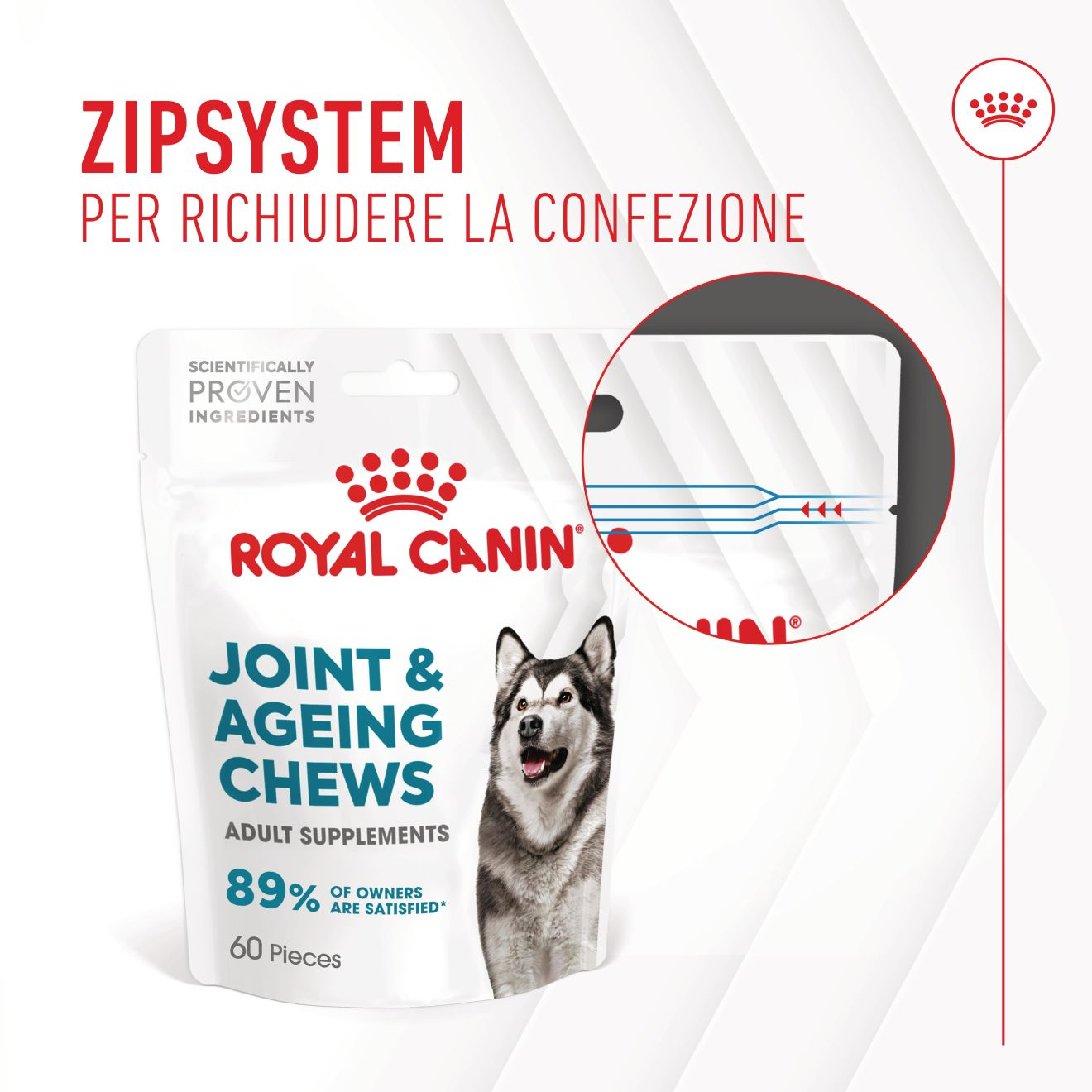 Supplement Joint & Ageing chews
