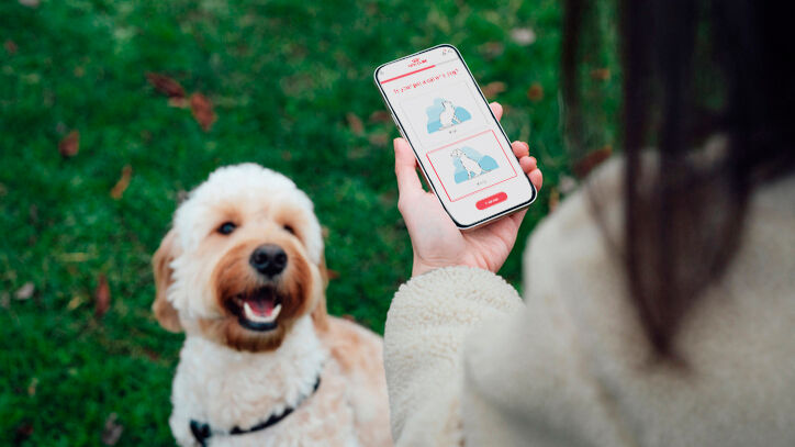 Kvinde, der bruger en smartphone, mens hun går tur med sin hund