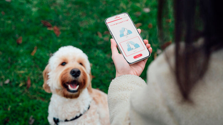 Une femme consulte le guide nutritionnel Royal Canin sur son téléphone tandis qu'un Labradoodle se tient en face d'elle et la regarde. 